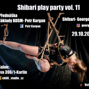 Shibari play party vol. 11