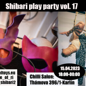Shibari play party vol.17