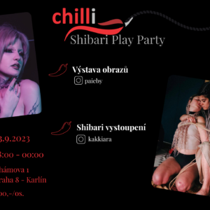 Shibari play party