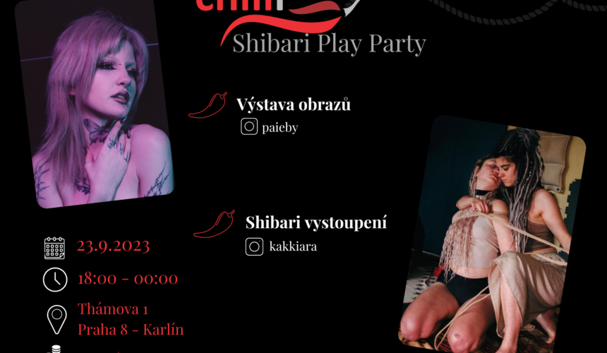 Shibari play party